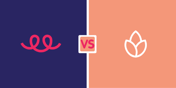 Teespring Vs Bonfire – Which Is Better